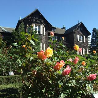 天気の良い日に出かけたい【東京近郊】秋のバラが楽しめるおすすめスポット