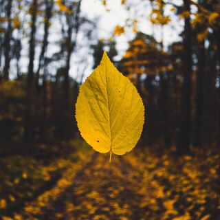 「聴いてほっこり」英国で語り継がれる小さな幸せの言い伝え