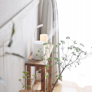 綺麗だけど、何だか臭う…？見た目以上に気をつけたい「お部屋の香り」の整え方