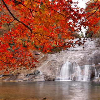 秋ならではの絶景を堪能♪【関東】のおすすめ紅葉スポット＆紅葉露天