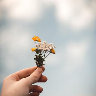 成長ってなんだろう。大人になっても続けたい "成長" について。