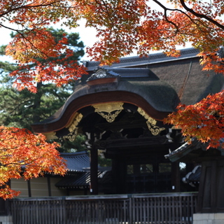 京のかなめ「京都御所」をのんびり散歩♪~周辺ランチ・カフェ・観光ガイド~