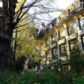 【東京】休日のランチやカフェで訪れたい。庭園が素敵なレストラン8選