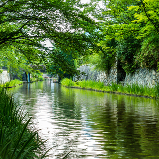 琵琶湖と水郷が織り成す景観が美しい。「近江八幡」で味わう秋と食