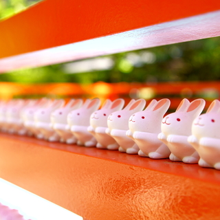 縁結びの神さまに会いに。心をこめて、お参りしたい「縁結びの神社」案内