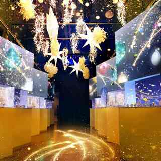 実は冬も楽しい♪クリスマスを満喫できる水族館＠関東5選（2018年イベント付き）