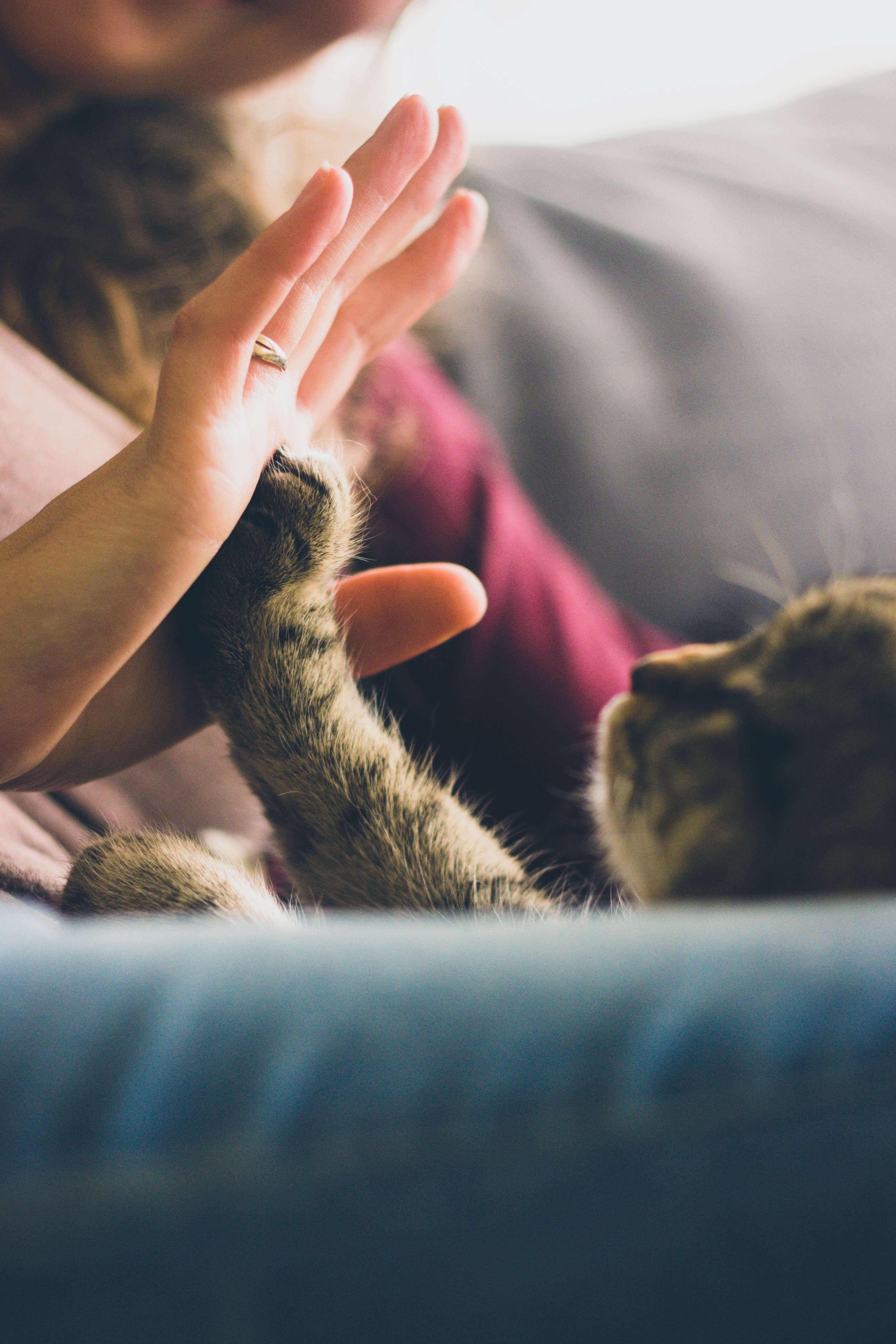 皆に愛される人は あいさつ上手 今一度 あいさつの大切さ 仕方 をおさらいして キナリノ