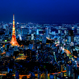 東京は夜が楽しい。光り輝く「東京の夜景」スポットへ
