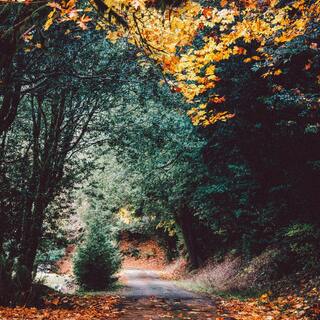 “大切なこと”に気づける。忙しい時こそ心がけたい「スローダウン」のすすめ