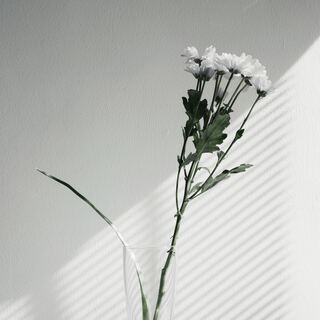 いらないものは手放そう。豊かな心で満たされる「ミニマムな暮らし」