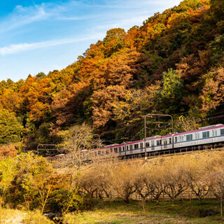 登山もグルメも温泉も！欲張り女子のための『高尾山』観光コースガイド