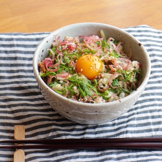 今夜はコレに決まり！ワンボウルで簡単時短『ヘルシー丼』レシピ