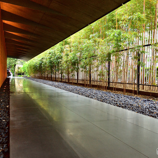 都心から1時間以内!隙間時間で心がクリアになるスポット集めました