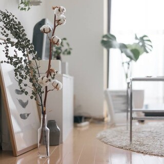 新生活の忙しさやストレスに負けないために。癒しのお部屋づくりと暮らしの工夫