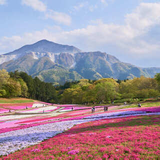 都心から電車で約2時間◎「秩父」で楽しむおすすめ【温泉旅】