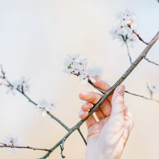 始めるなら“春”がおすすめ。ココロとカラダを整える《暮らしのメソッド》