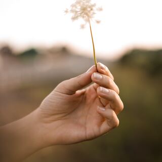春を健やかに迎えるために。今からでも間に合う「毎日の養生方法」