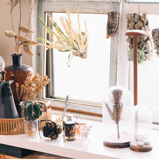 飾れば絵になる場所。「窓辺」の素敵なディスプレイ・アイデア