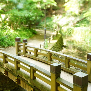 暖かくなったら、緑あふれる都内の渓谷へ＊「等々力渓谷」お散歩案内