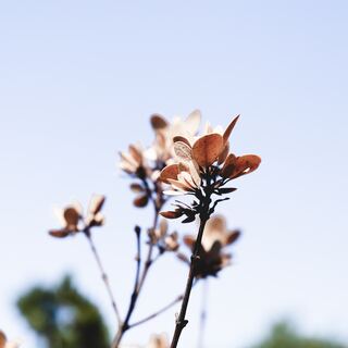 ネガティブ思考をストップ!ざわつく心をリセットして穏やかに保つ方法