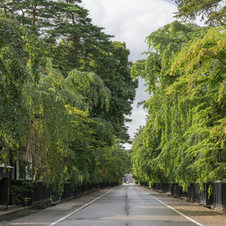 【秋田観光】自然・温泉・伝統・名物グルメ“美しの国”の魅力を探しに出かけよう