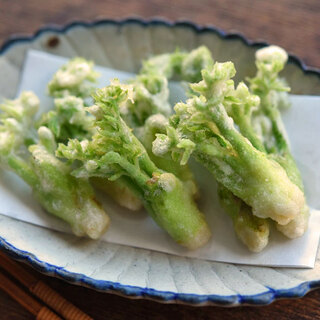 ほろ苦い春の味。天ぷら、パスタ…「タラの芽」堪能レシピ16品