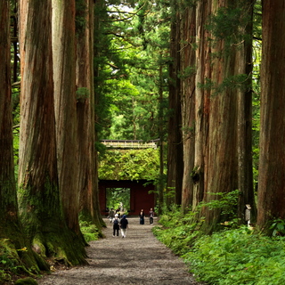 御朱印巡りに美味しいお蕎麦【長野県・戸隠神社】へ出かけよう