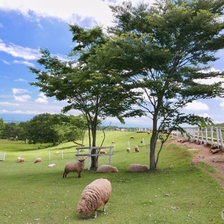 関東最大の【栃木県】日光・那須・宇都宮・益子の「見どころ」と観光スポット案内♪