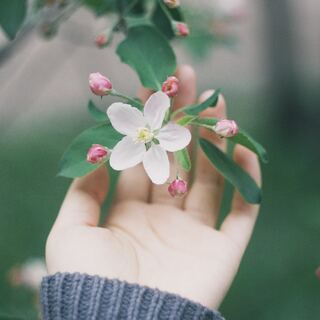 ありのままのわたしでいい。《自分の幸せにコミットする》生き方を選びませんか？