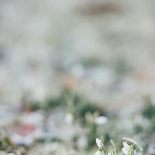 苦しいときこそ「なるようになる。」程よく力の抜けた考え方がちょうどいい。