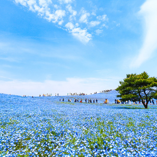 【関東】ゴールデンウィークに行きたい！お財布に優しい”無料”&”リーズナブル”スポット