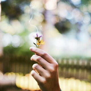 つらい気持ちにそっと寄り添うことば。「禅語」に親しんでみませんか？