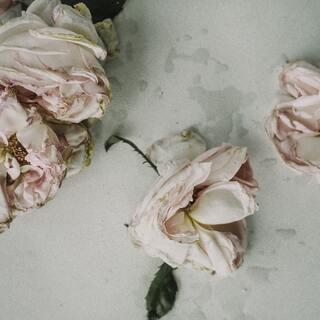 「マンネリ」って悪いこと？変化ばかり求めず、私の "ベーシック" を大切にしませんか