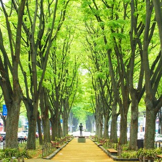 【宮城】東北の中心で伊達な旅♪自然・パワースポット・名物グルメ満喫の観光ガイド