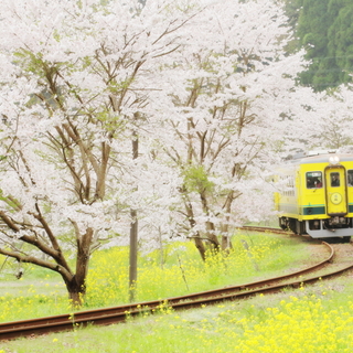 可愛い鉄道で巡る【房総半島】観光、温泉、海鮮、道の駅…いろんな魅力をまるっとガイド