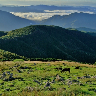 一度は訪れたい日本の絶景【四国カルスト】でドライブとキャンプを楽しむ   