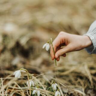 嫌なことから逃げ出したくなったとき…「自分に問いかけたい」8つのこと