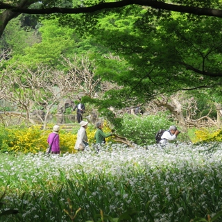 緑と水と、花々と。“わたしのリセット旅－皇居東御苑編－”