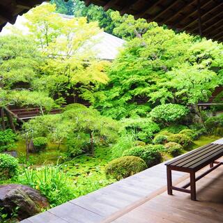雨の京都も人気です◎梅雨時期にあえて訪れたい“京都の名所”、集めました