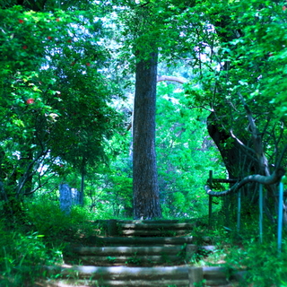 夏休みのお出かけに♪関東近郊「ジブリ映画」の世界を感じられるスポット