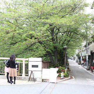 【中目黒さんぽ】の新しい目玉は世界5番目の「スタバ」？木洩れ日の目黒川沿いで寄りたい店・場所9選