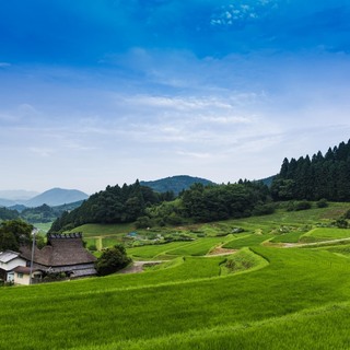 里山と水田が織りなす風景に魅せられて【日本の棚田百選/近畿地方編】