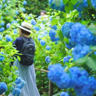 憂鬱な季節もハッピーに過ごせる♪じめじめした梅雨時間を楽しむアイデア帖
