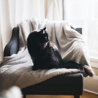 心落ち着くわたしの居場所。包み込まれるような「おこもり感」の作り方