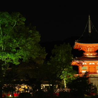 秋の風物詩を見ながら伝統文化を垣間見よう ～京都の秋祭り7選～
