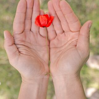 求めすぎていませんか？ヨガ哲学に学ぶ「満足すること」で豊かになる暮らし