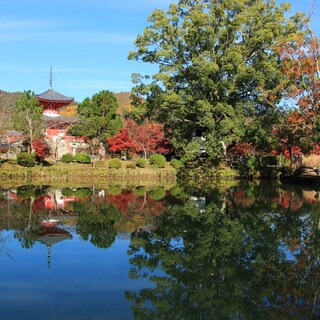 京都嵯峨野奥地に佇む平安時代の離宮…嵐山から少し足を延ばし、大覚寺を訪れませんか?