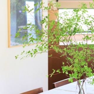 夏はすぐそこ！涼やかに過ごせるお部屋作りのコツ、集めました＊