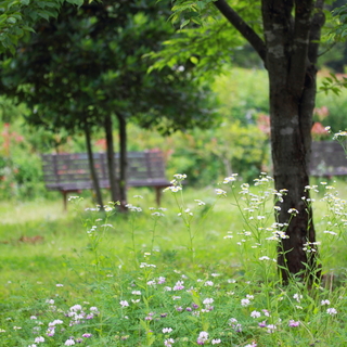 花とハーブでリフレッシュ＊関東近郊の「ハーブガーデン」で過ごす癒しの時間