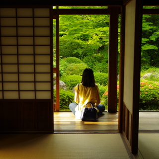 京都のお寺めぐり＊せっかくなら、もう一歩踏み込んだ楽しみ方を！人気のお寺体験6選